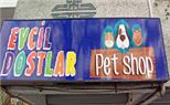 Evcil Dostlar Petshop  - İstanbul